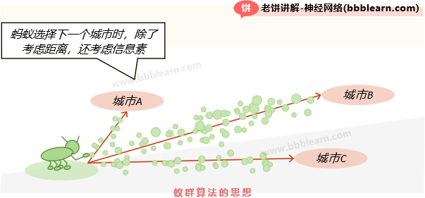 蚁群算法的思想