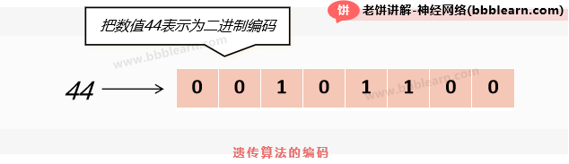 遗传算法的编码