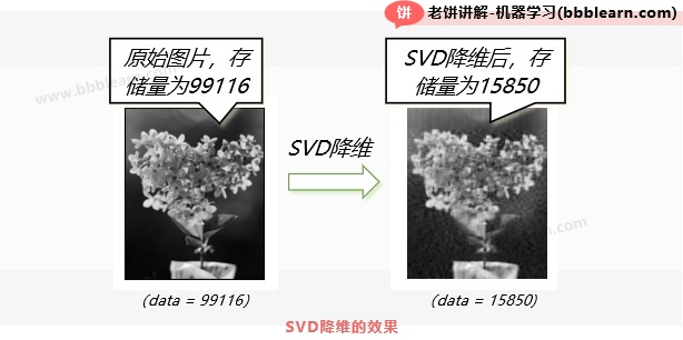 SVD降维的效果