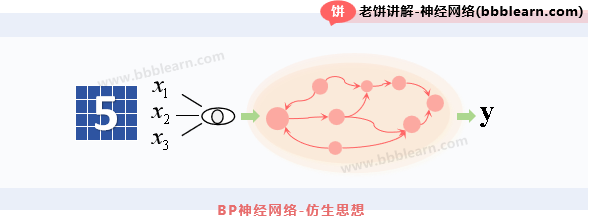 BP神经网络-仿生结构
