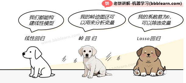 线性回归、Lasso回归和岭回归的用途