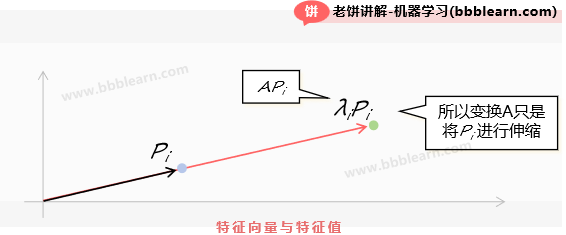 特征向量与特征值