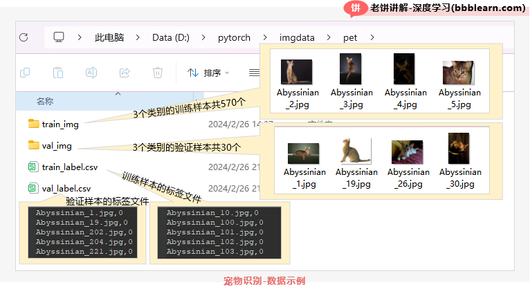 宠物识别-数据示例