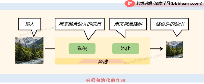 卷积和池化的作用